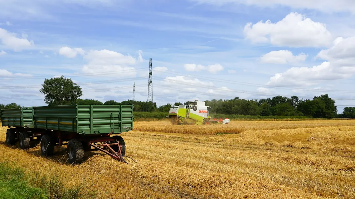 Cosechadora trabajando en el campo